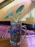 Silver Dragon Alocasia in Vintage Miller Mug